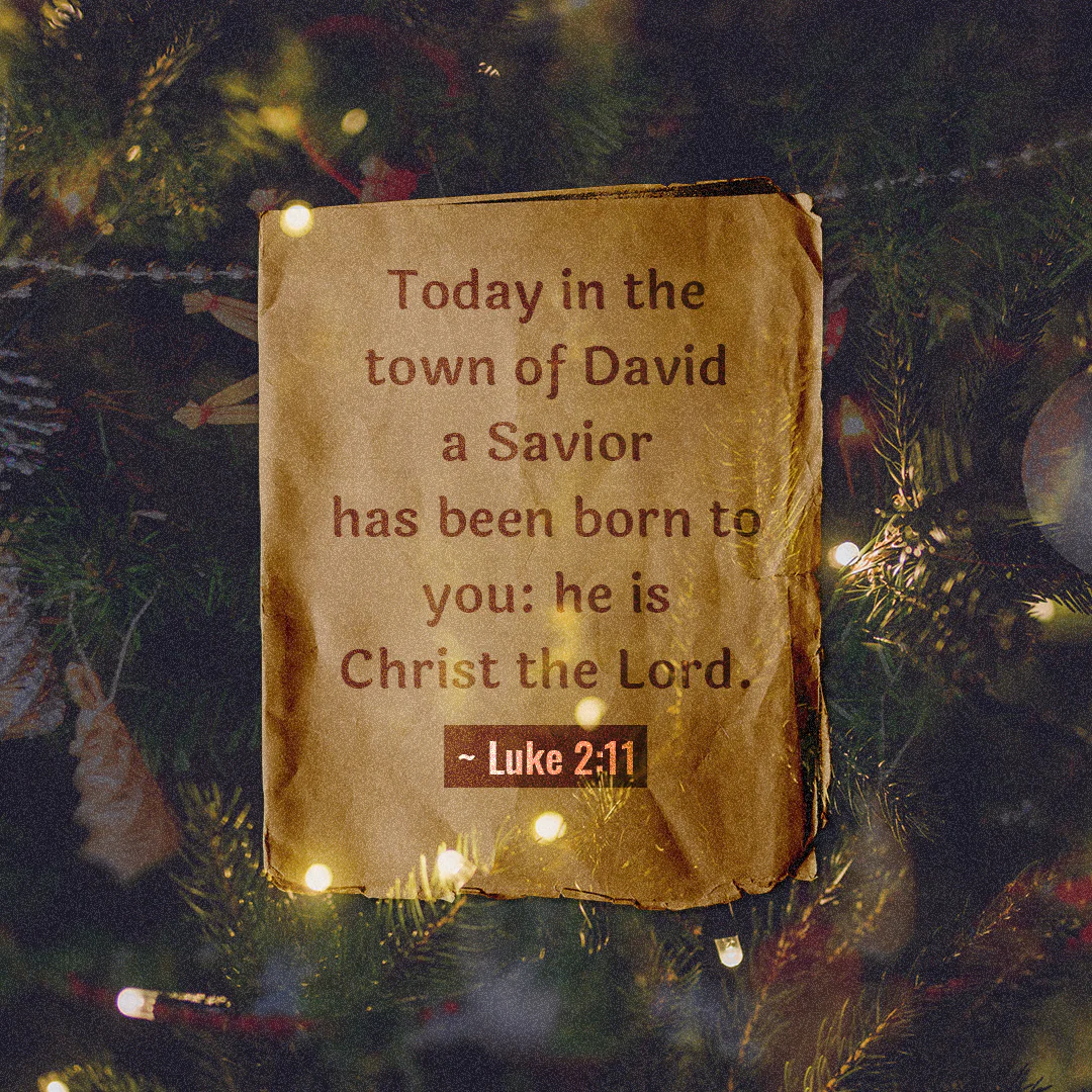 Christmas 127