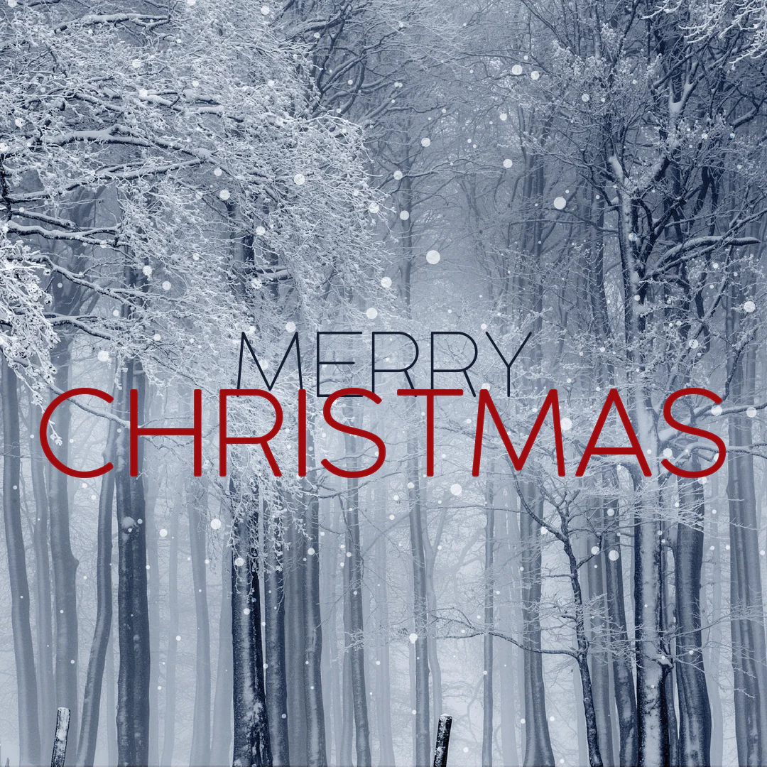 Christmas Graphic 50