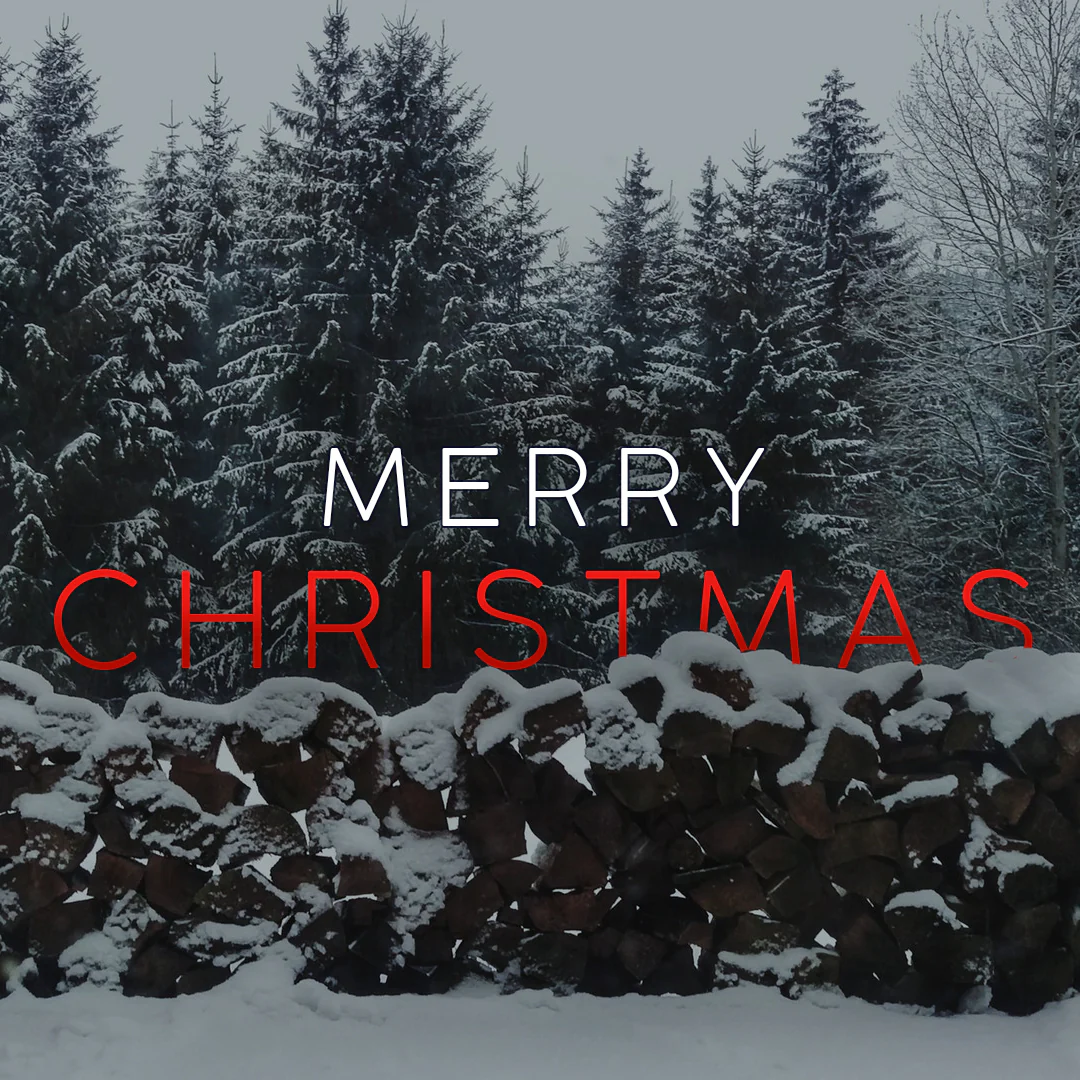 Christmas Graphic 91