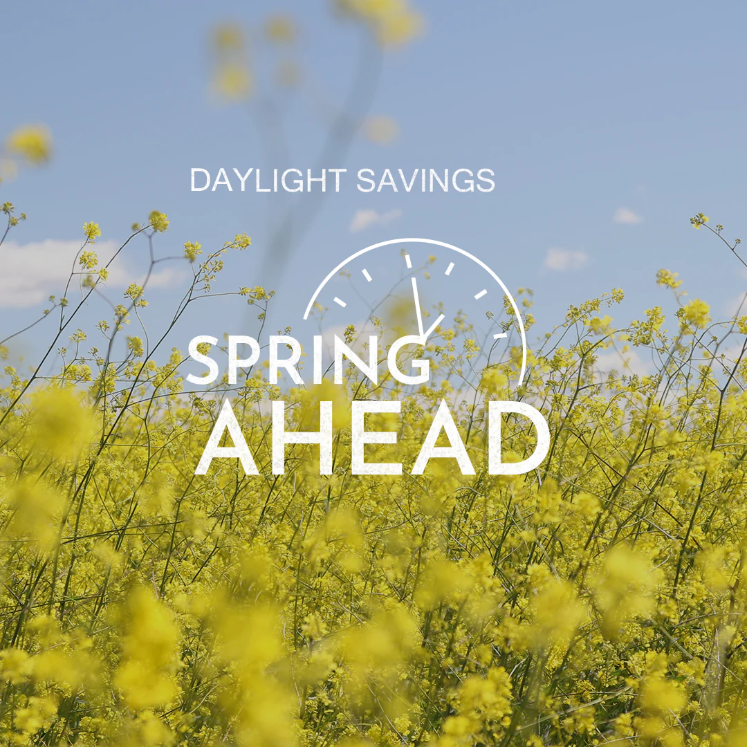 Daylight Savings 22