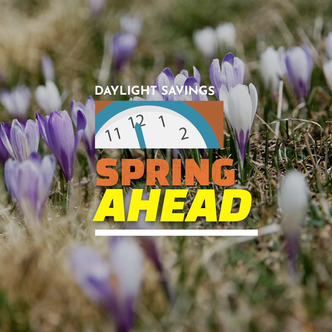 Daylight Savings 29