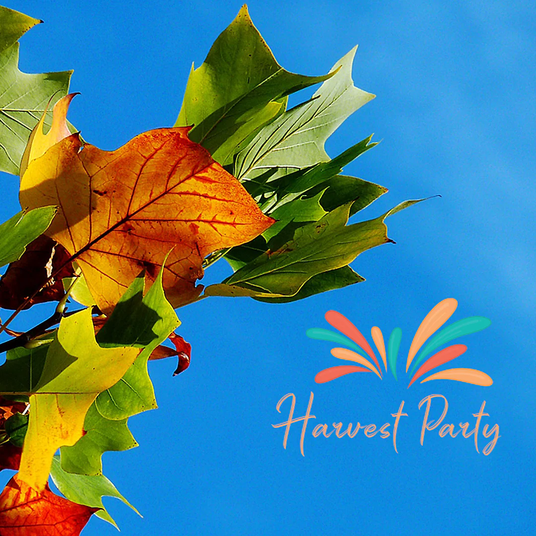 Harvest Festival 24