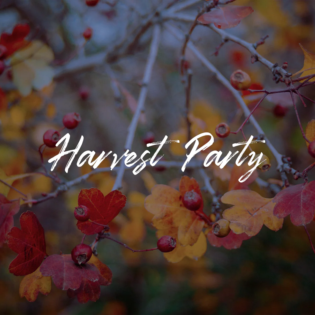 Harvest Festival 27