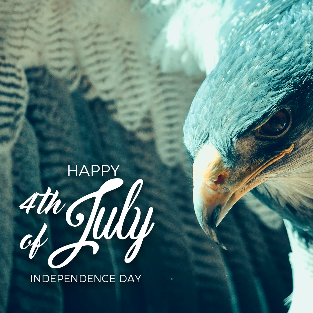 Independence Day 24