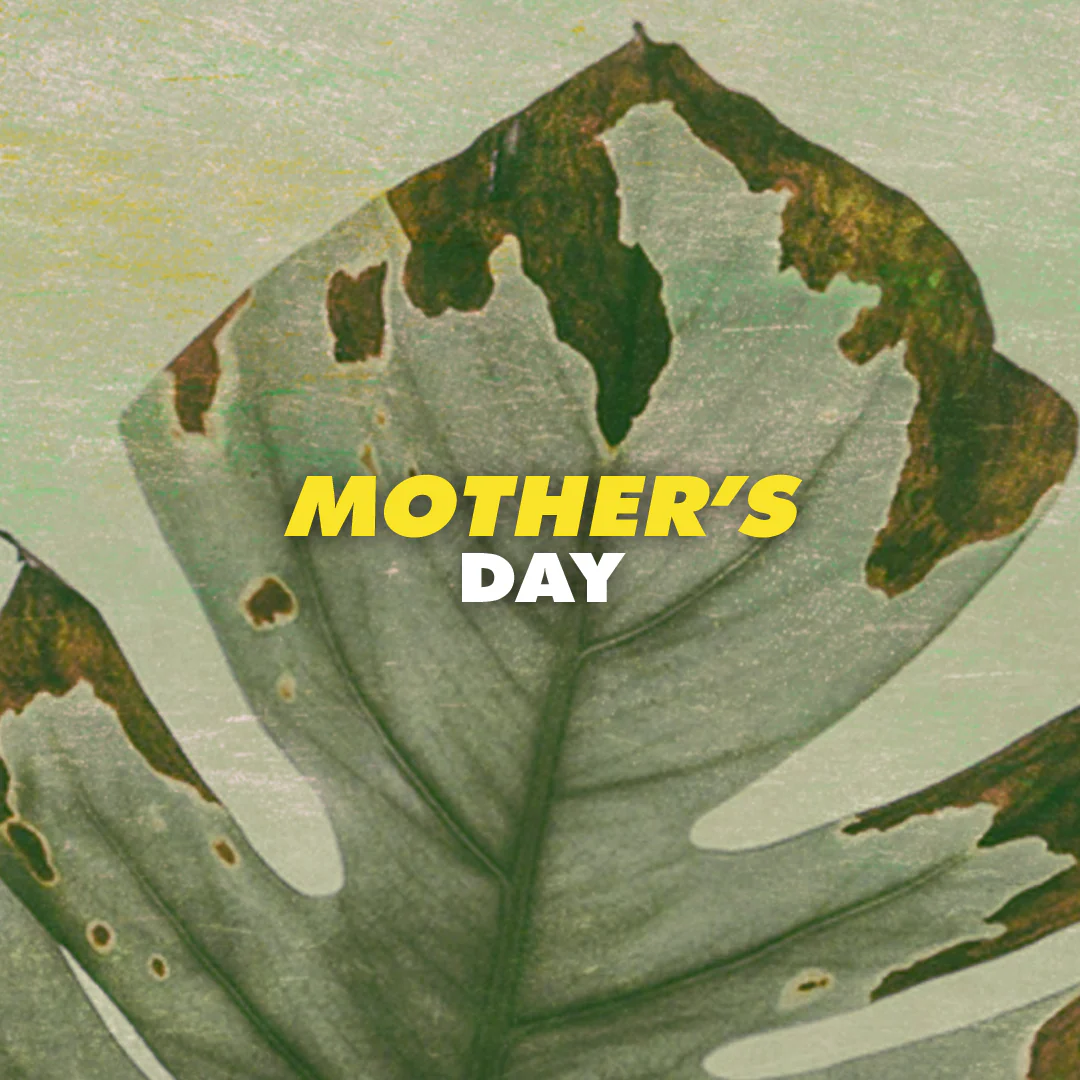 Mothers Day Set 72