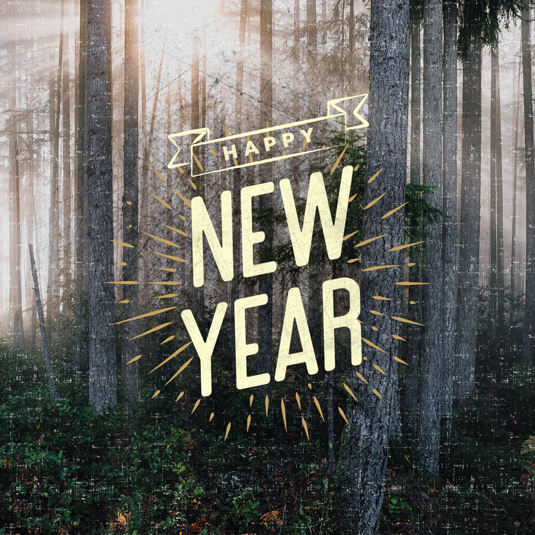 New Years Day 11
