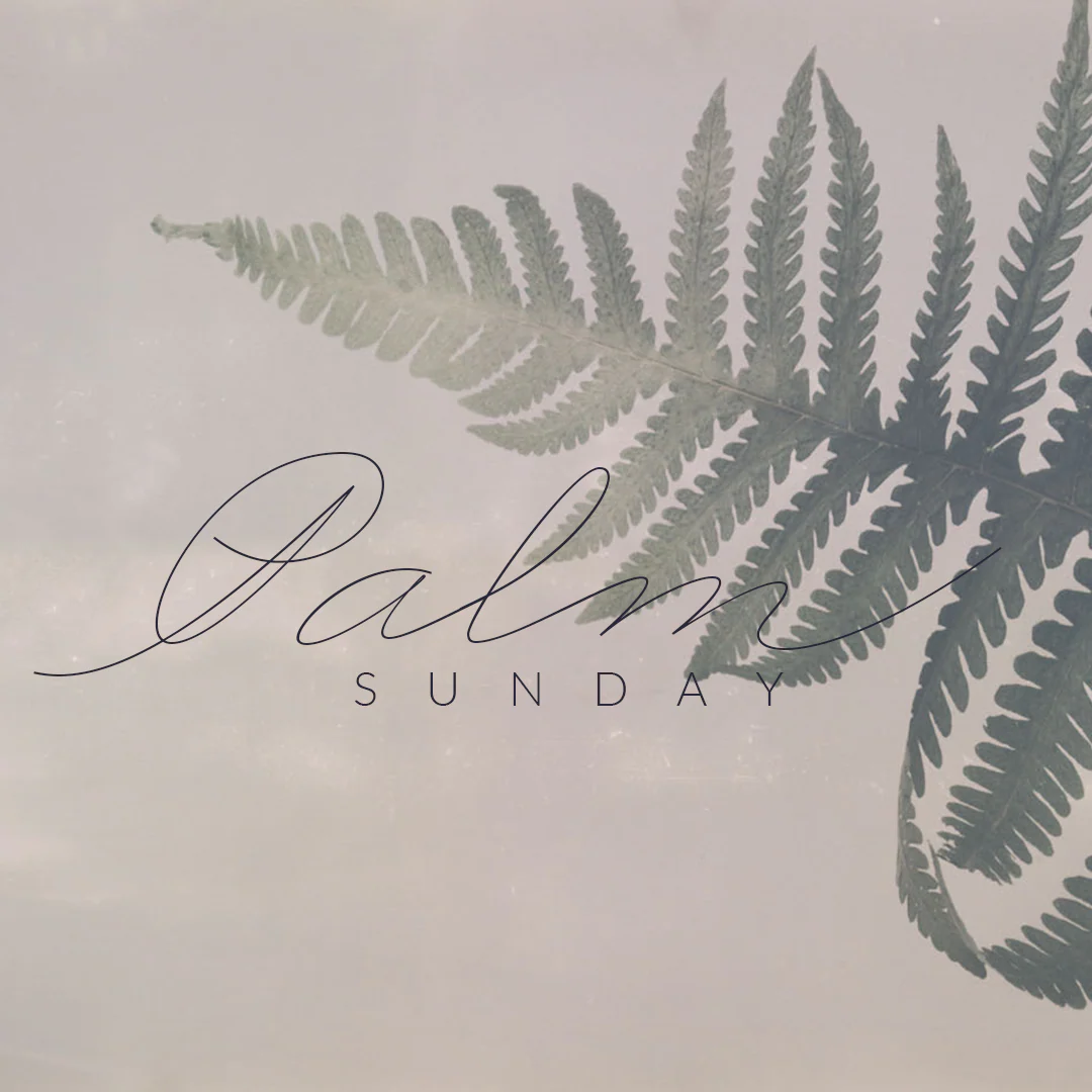 Palm Sunday 16