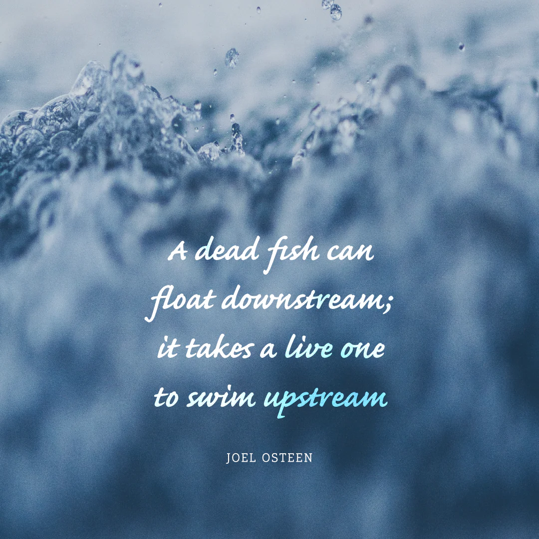 Social Inspirational 21