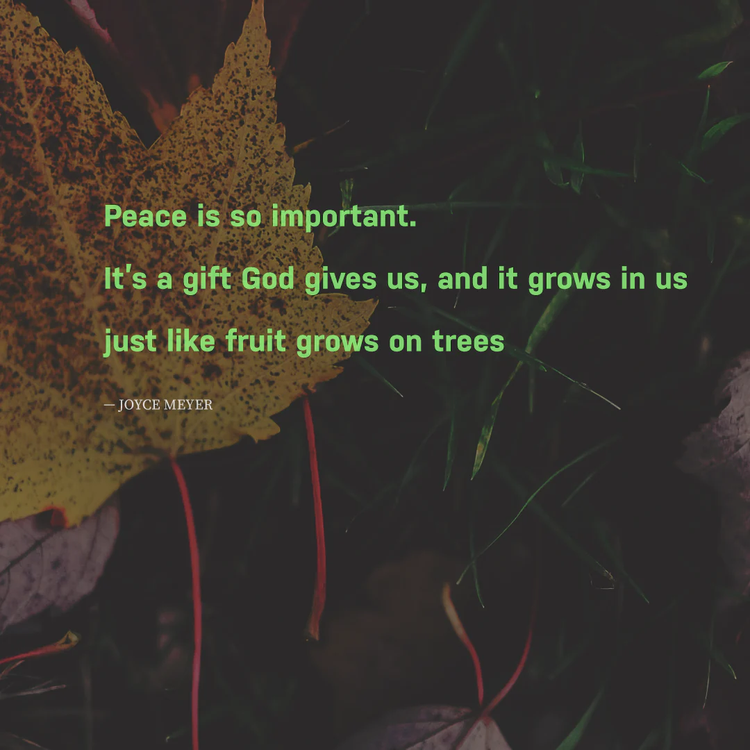 Social Inspirational 26