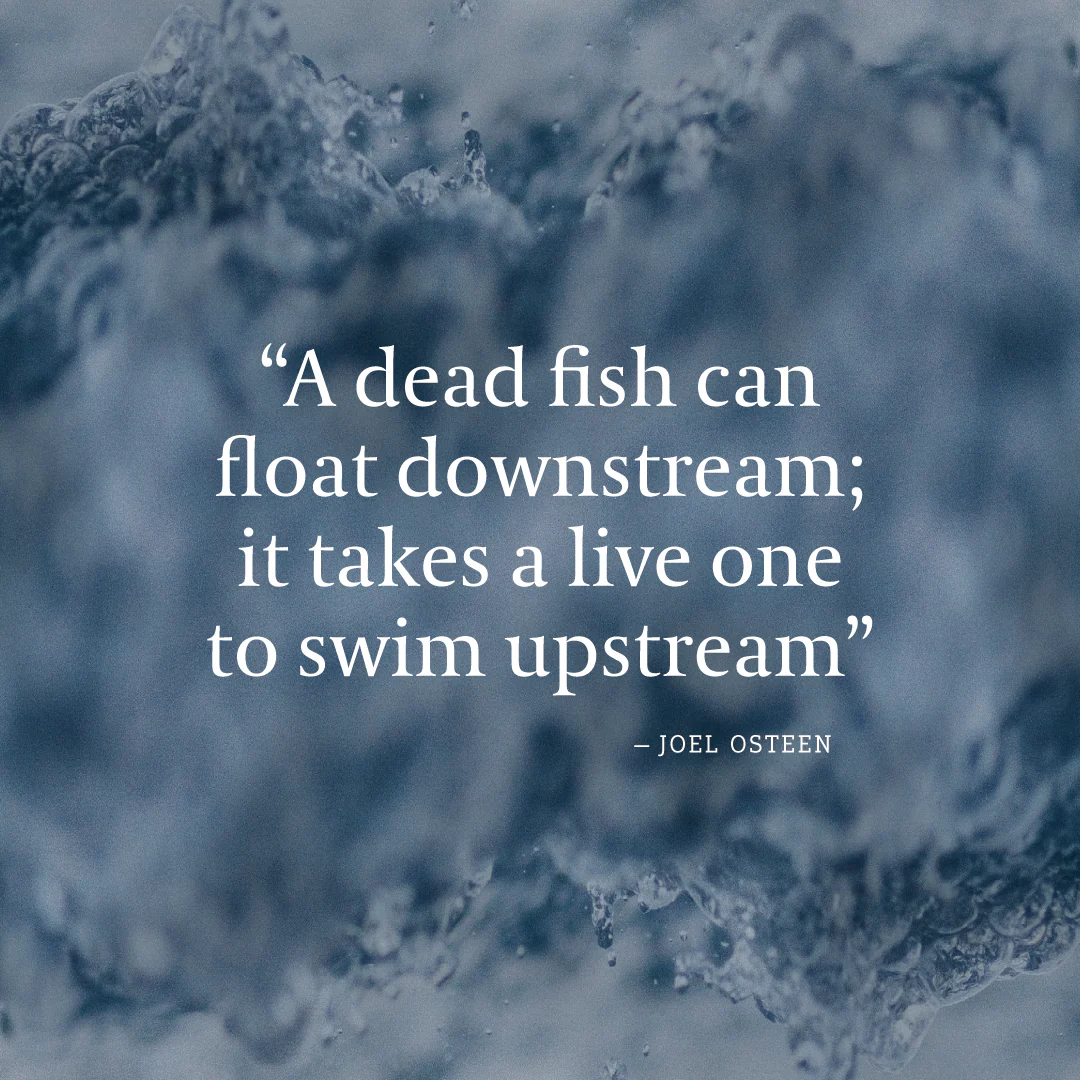 Social Inspirational 30