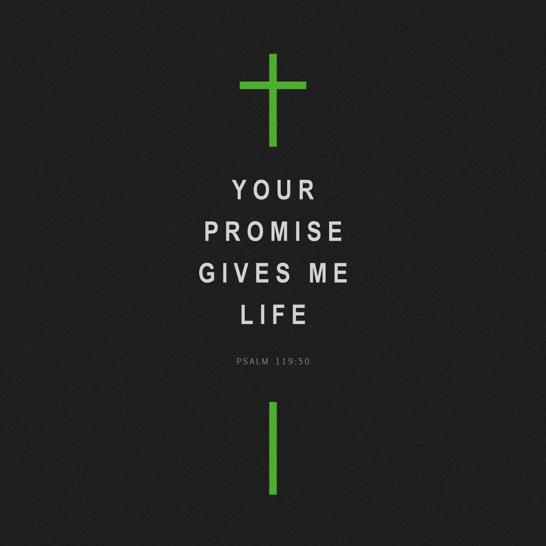Social Scripture 120