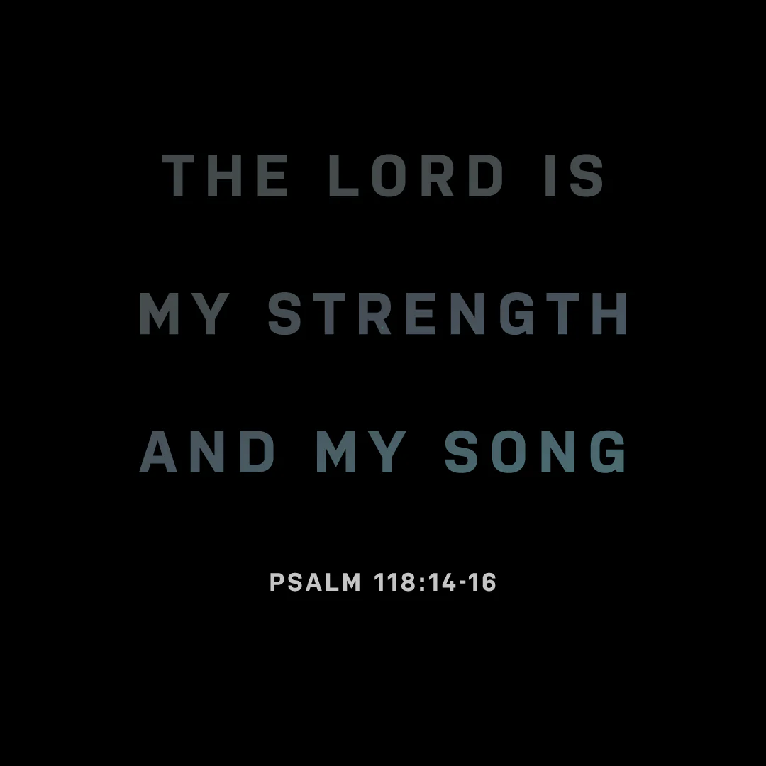 Social Scripture 146