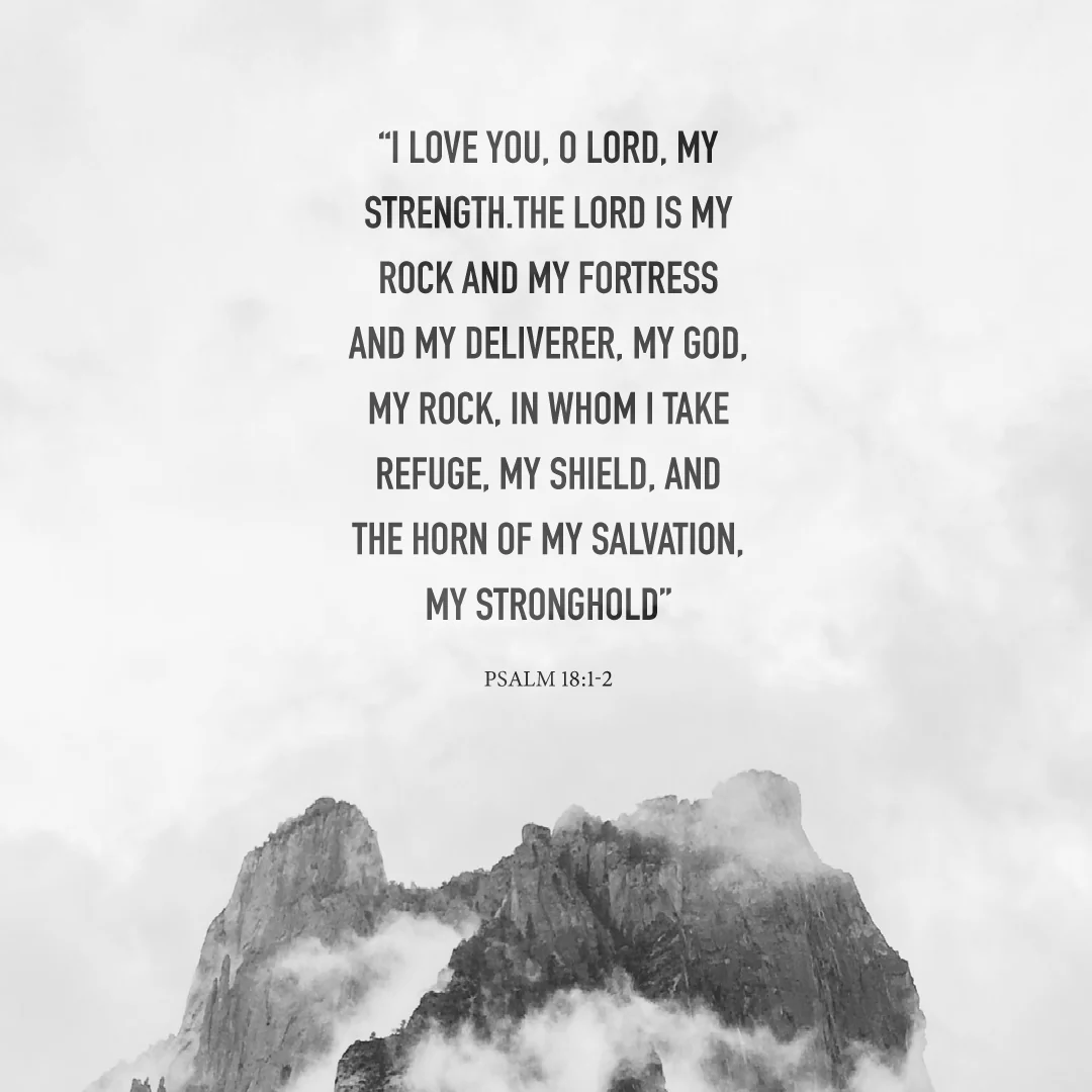 Social Scripture 15