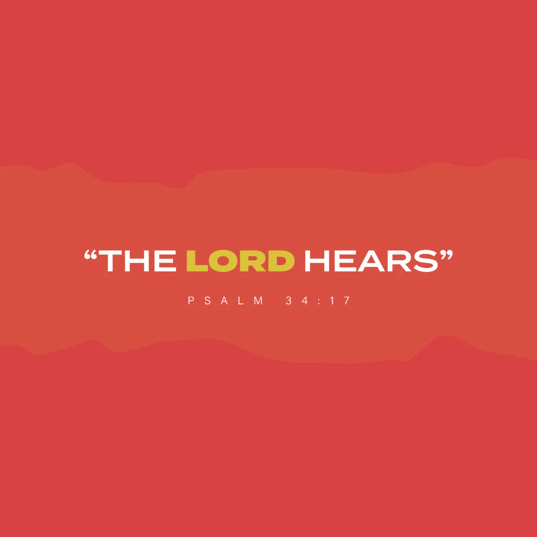Social Scripture 225