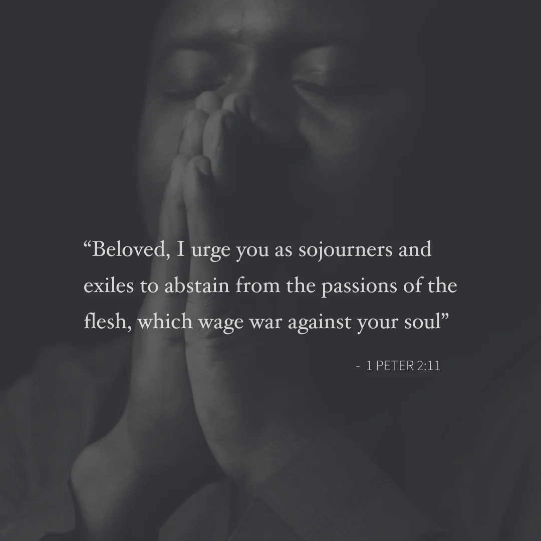Social Scripture 29