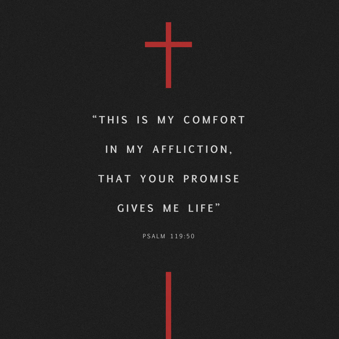 Social Scripture 42