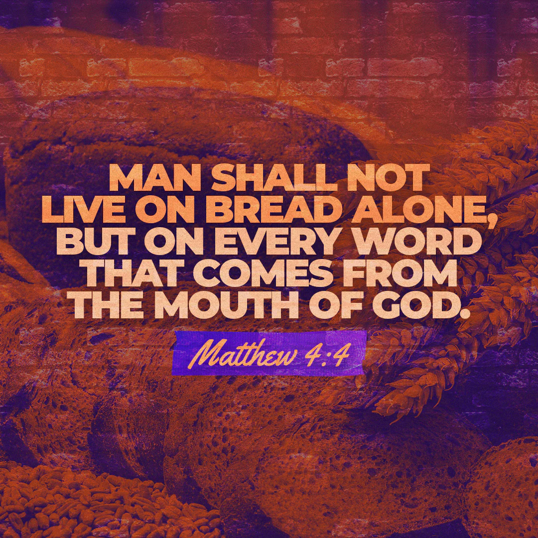 Social Scripture 442