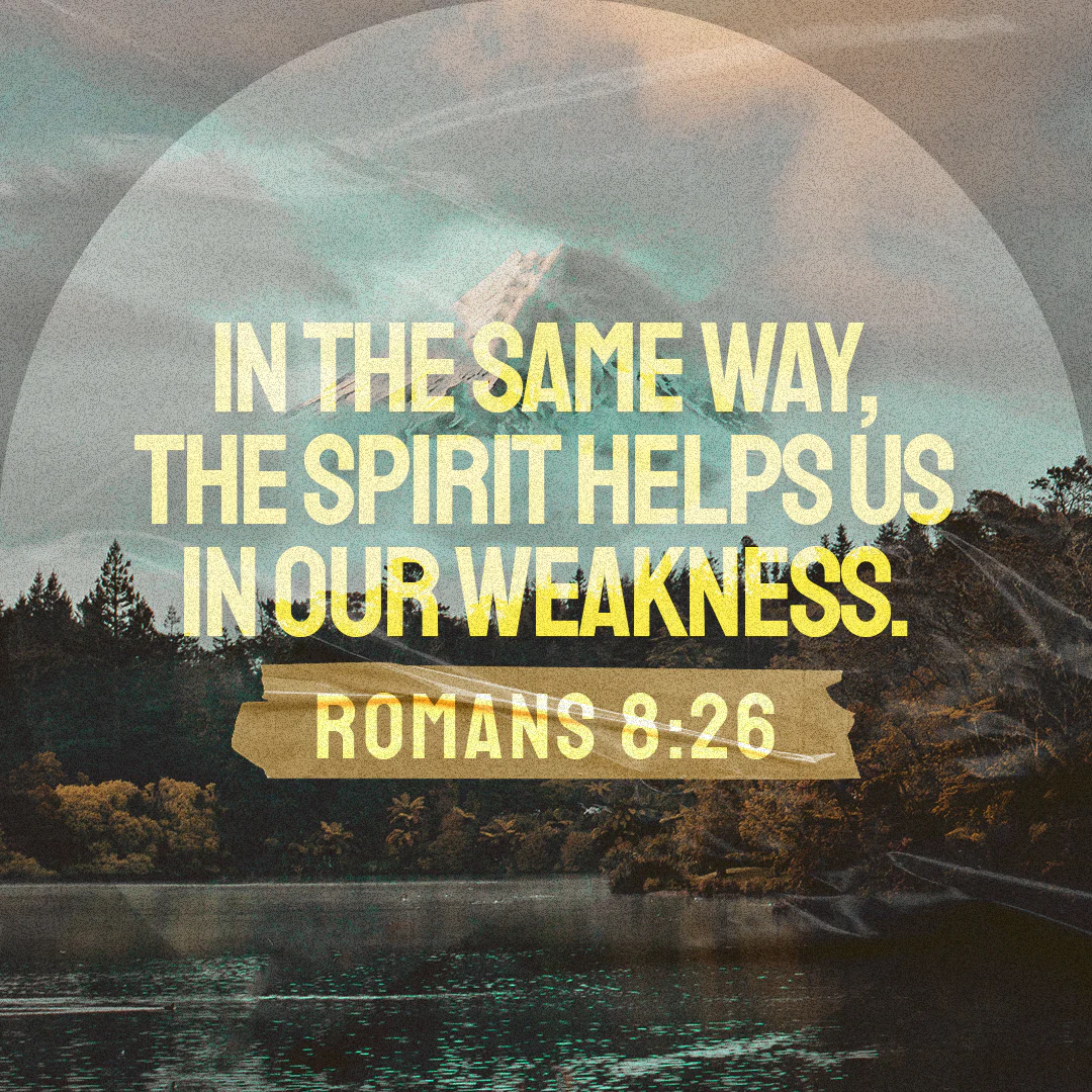 Social Scripture 475