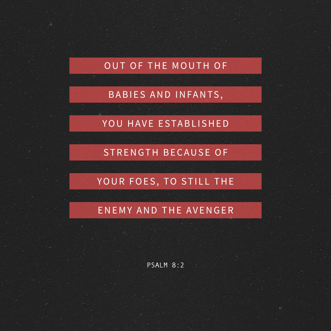 Social Scripture 48