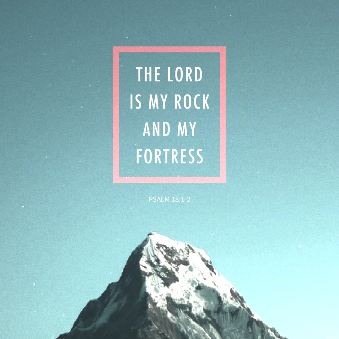 Social Scripture 51
