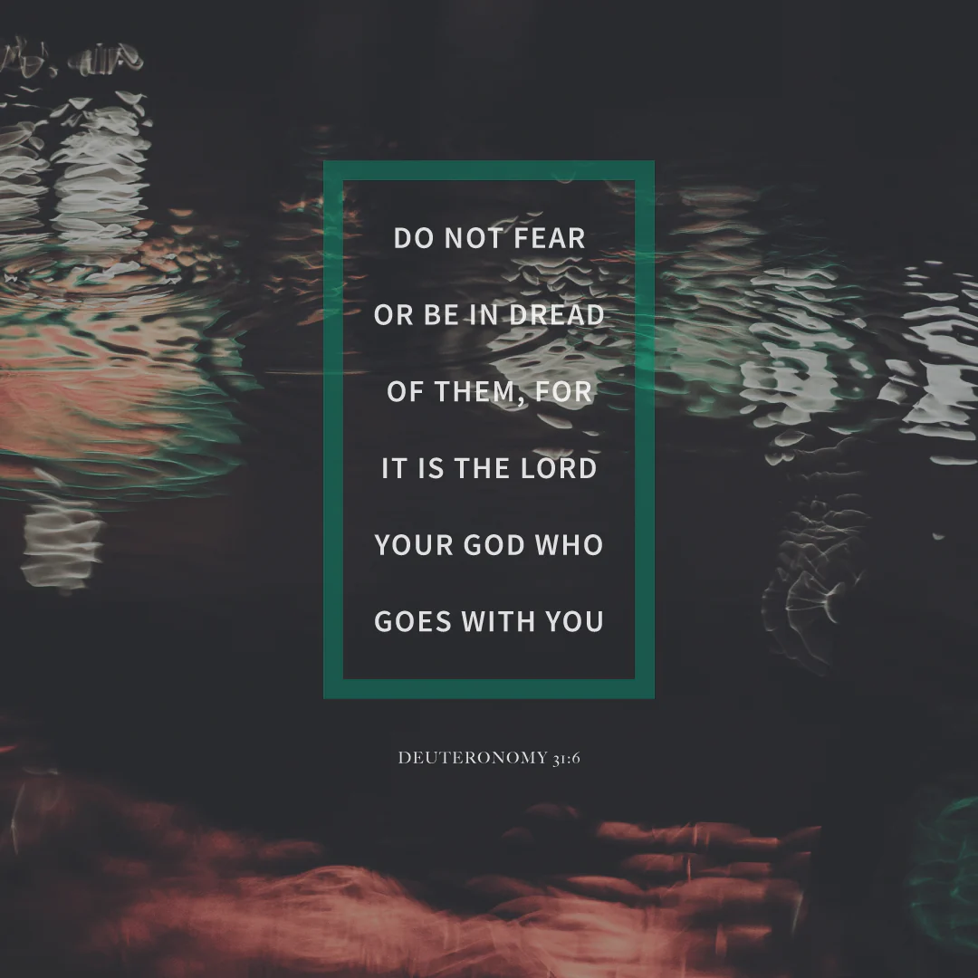 Social Scripture 55