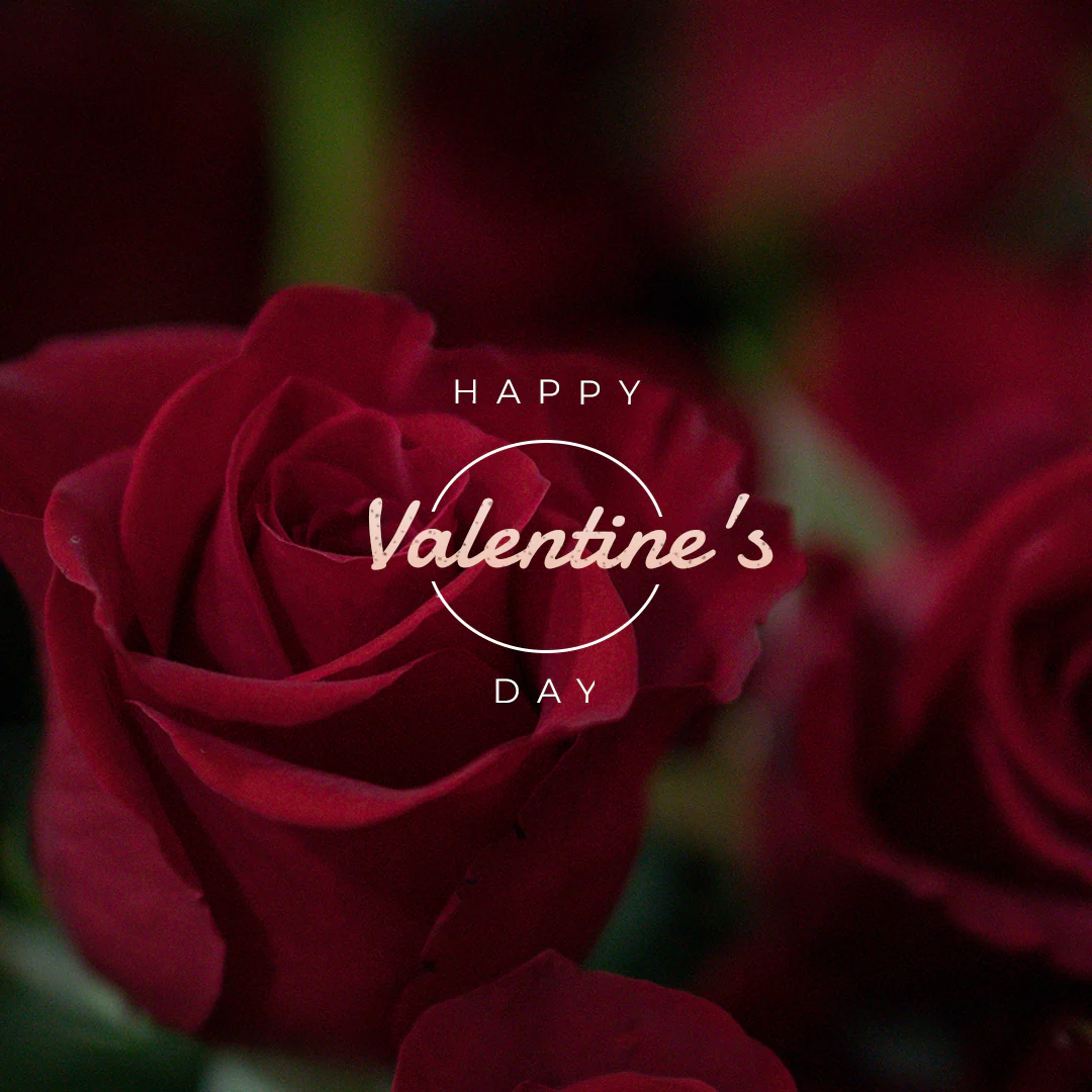 Valentines Day 29