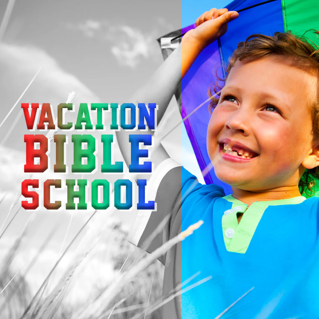 VBS 11
