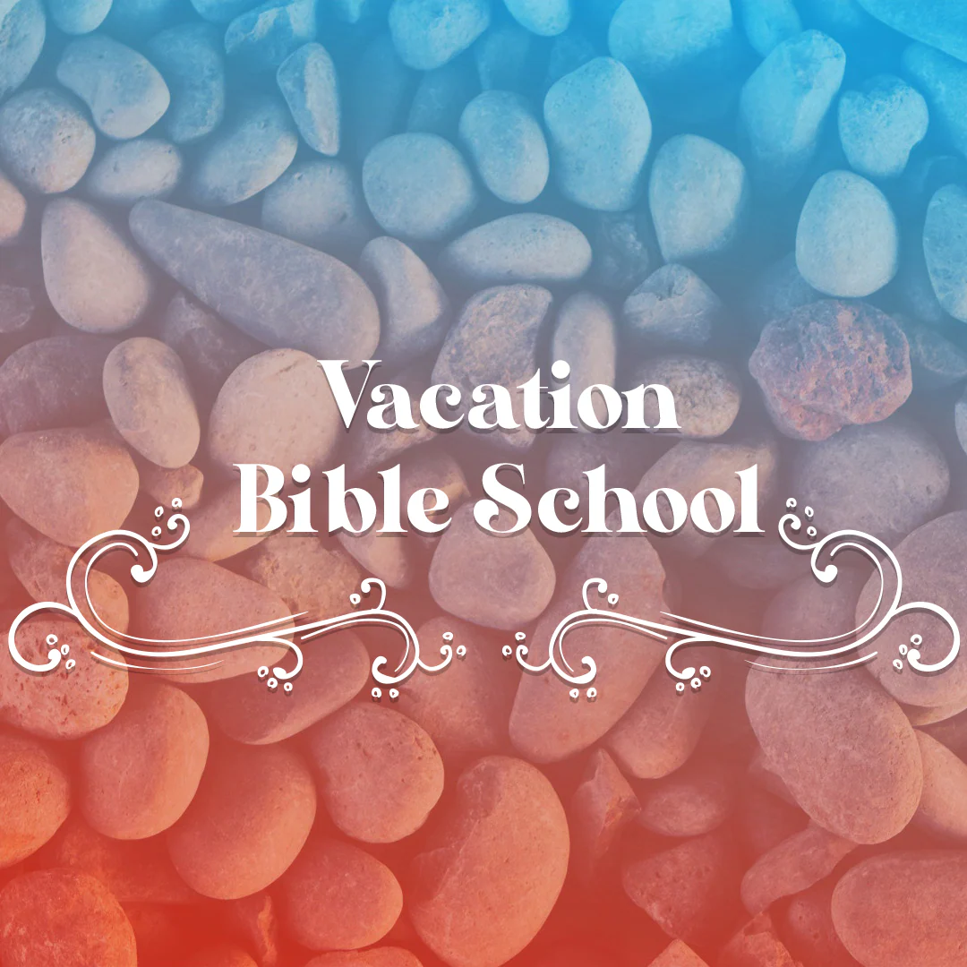 VBS 24